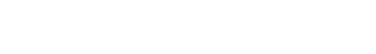 paloverde-logo_W
